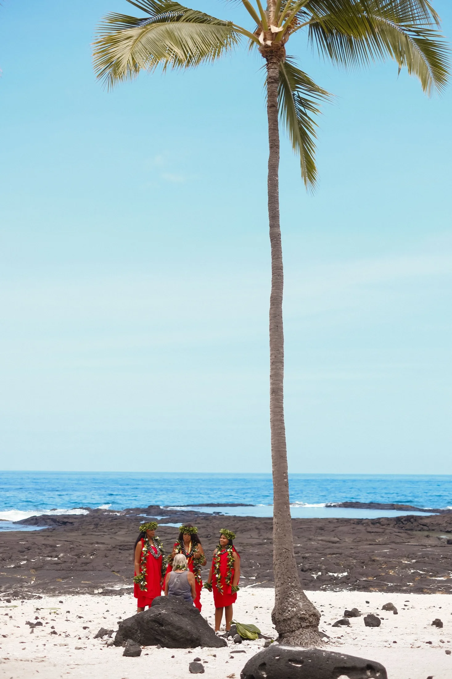 Palms against a bright Hawaiian sky